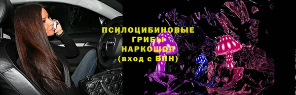 молекула духа Гусиноозёрск