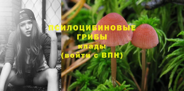 синтетический гашиш Гусев