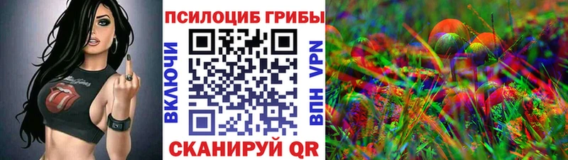 купить   Заозёрск  Галлюциногенные грибы ЛСД 